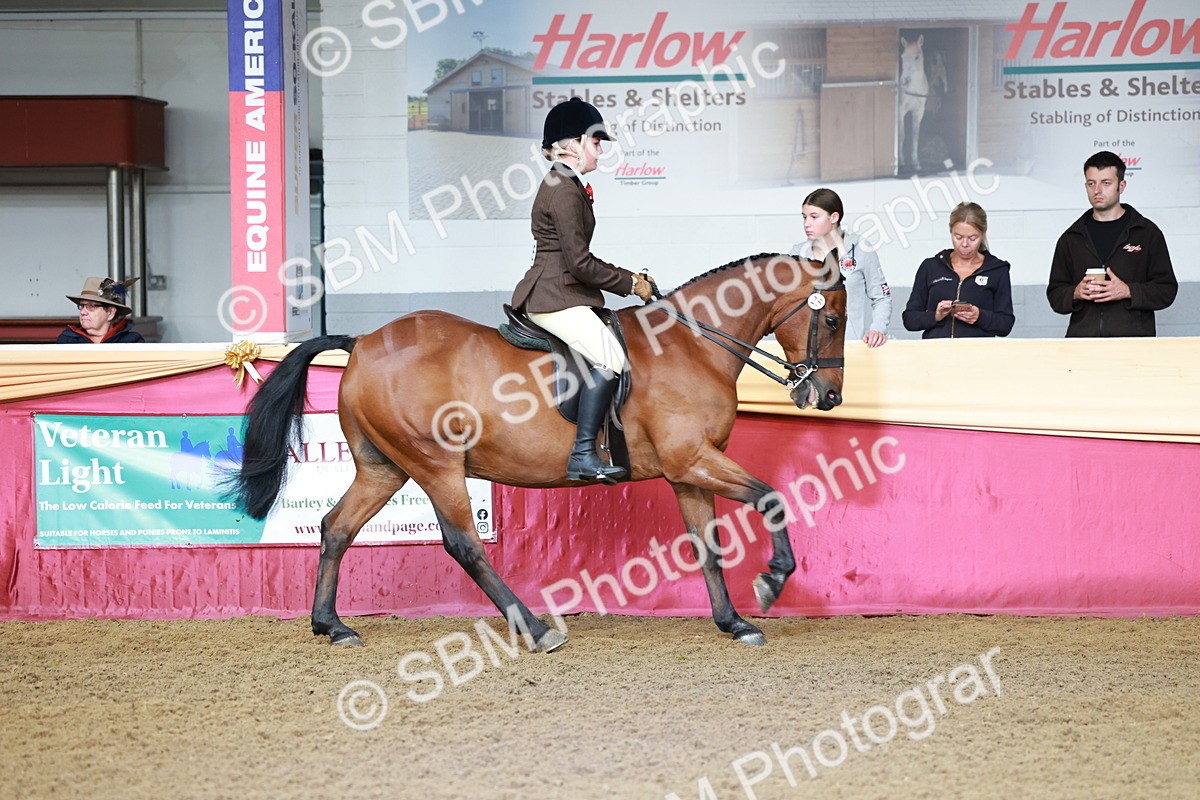 SBM_11864 - Class 102 - Equitation (Best Rider) Adult