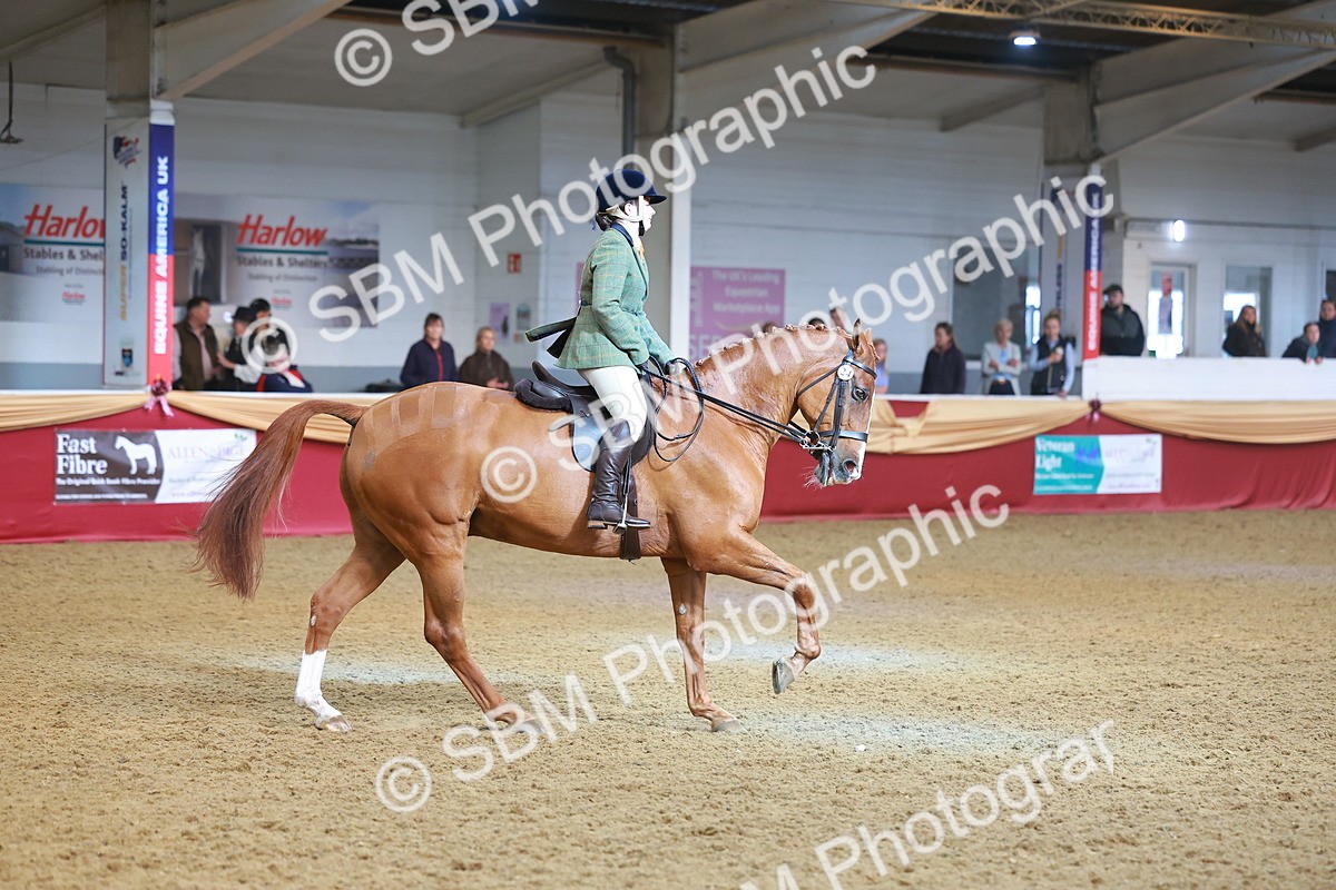 SBM_09701 - Class 102 - HOYS Veteran Qualifier - Ridden Veteran