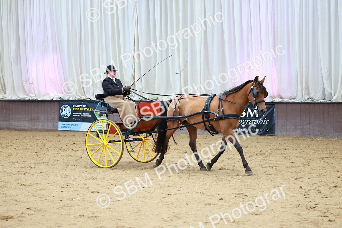 SBM_001057 - Class 15 - Open Showmans Class
