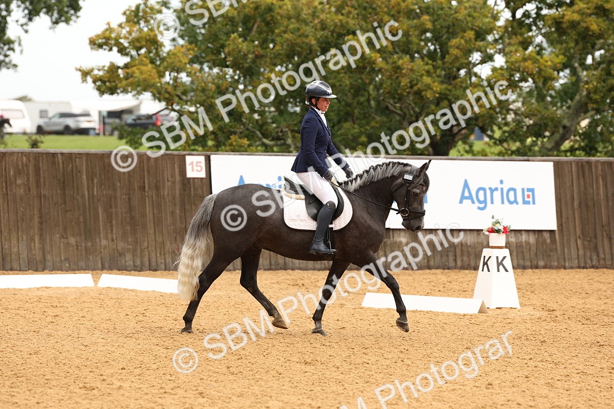 SBM_00601 - D1 - Small Tour Championship Intro 1