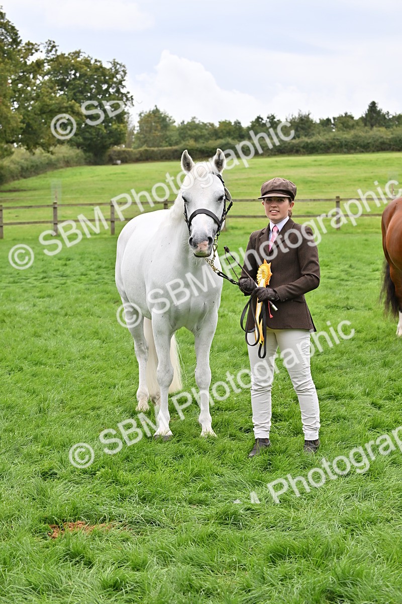SBM_63320 - S49 - Mountain & Moorland In Hand Large Breeds