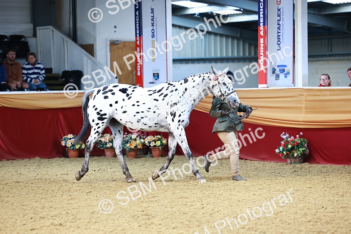 SBM_21755 - Class 901 - Supreme Final - IH  Diamond