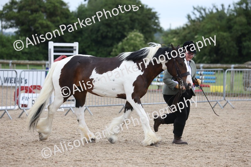 20250524-1088 - Championship