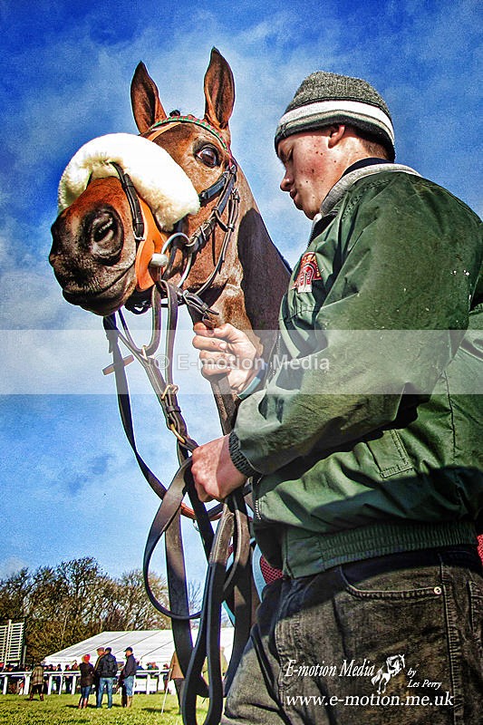 PTP 081213-043a - Equestrian