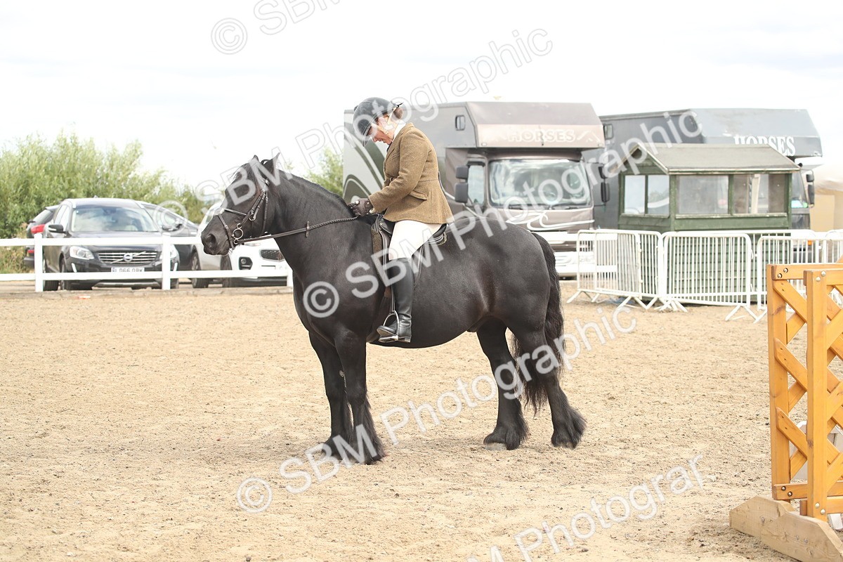 SBM_14545 - Class 505a - M&M Working Veteran - 50cm (15-19)