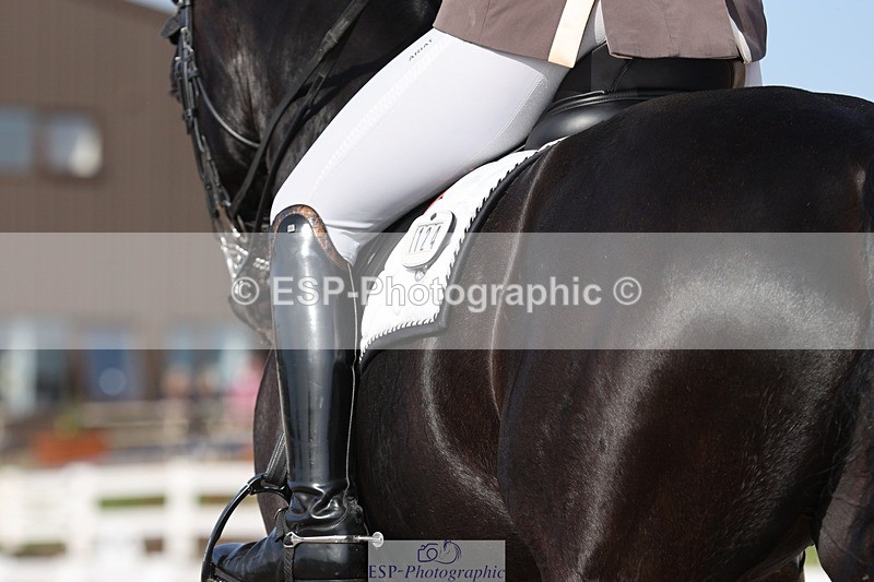 250404-162327-07499 - 124-Penny.Smith-Rembrandt.GSH