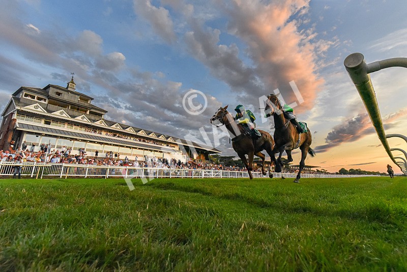 140826-Race 6-Recobella-5484 - Race 6 20.20pm Birra Moretti Handicap