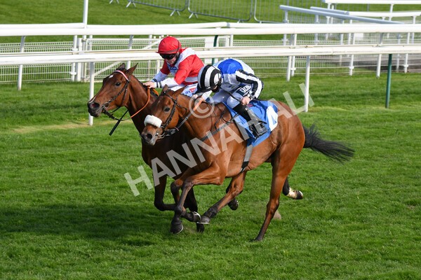 yr13052021r7-22 - Race 7 4.50pm Autohorn Stakes