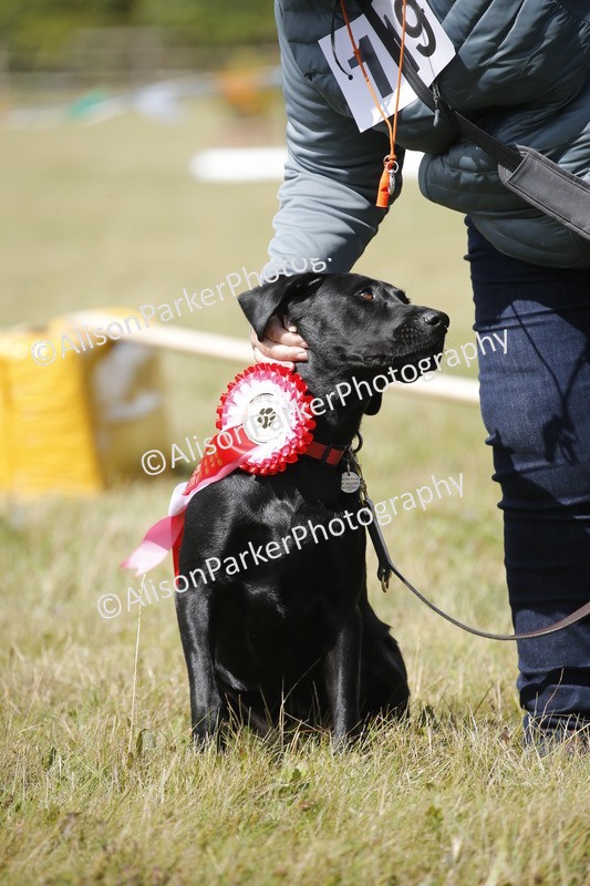 20250831-3823 - Dog Show