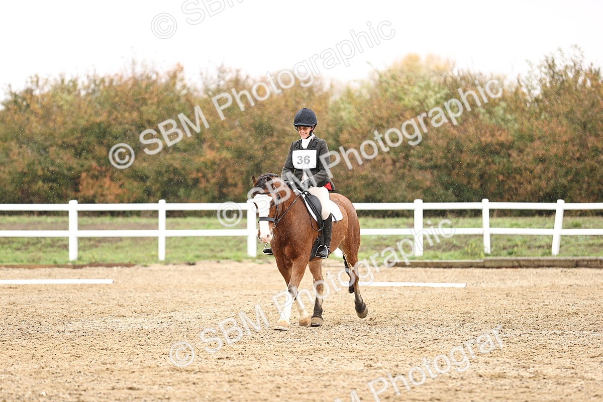 SBM_001936 - Prelim B