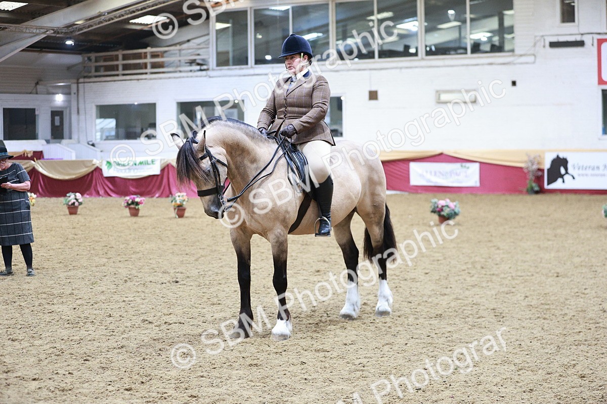 SBM_09015 - Class 12R - Regional Ridden Pre-Vet