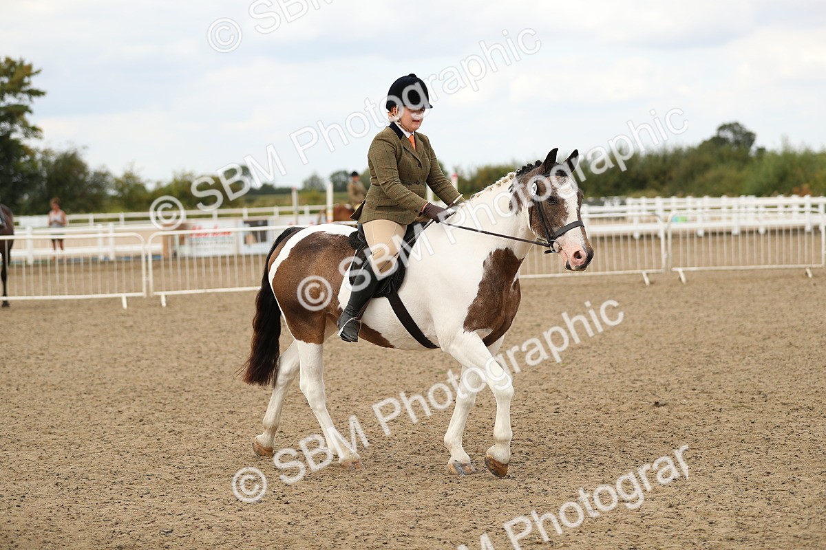 SBM_05235 - Class 47b Style & Performance 60cm (20+)