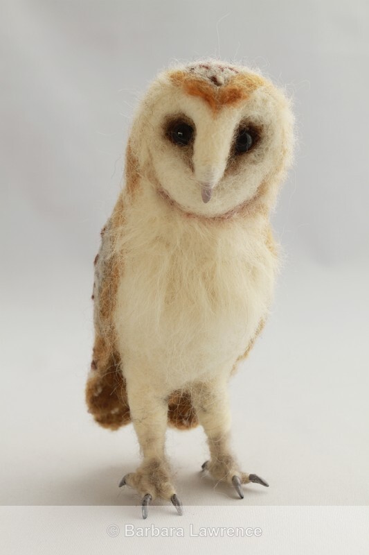 Barn Owl (Med) - Gallery