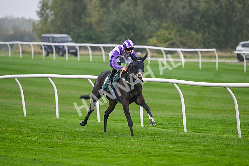 181025-Race 3-Secret Sonata-0472 - Race 3