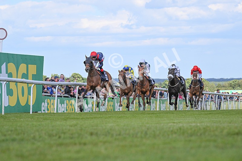 080624-Race 6-Walter Hartright-7579 - Race 6