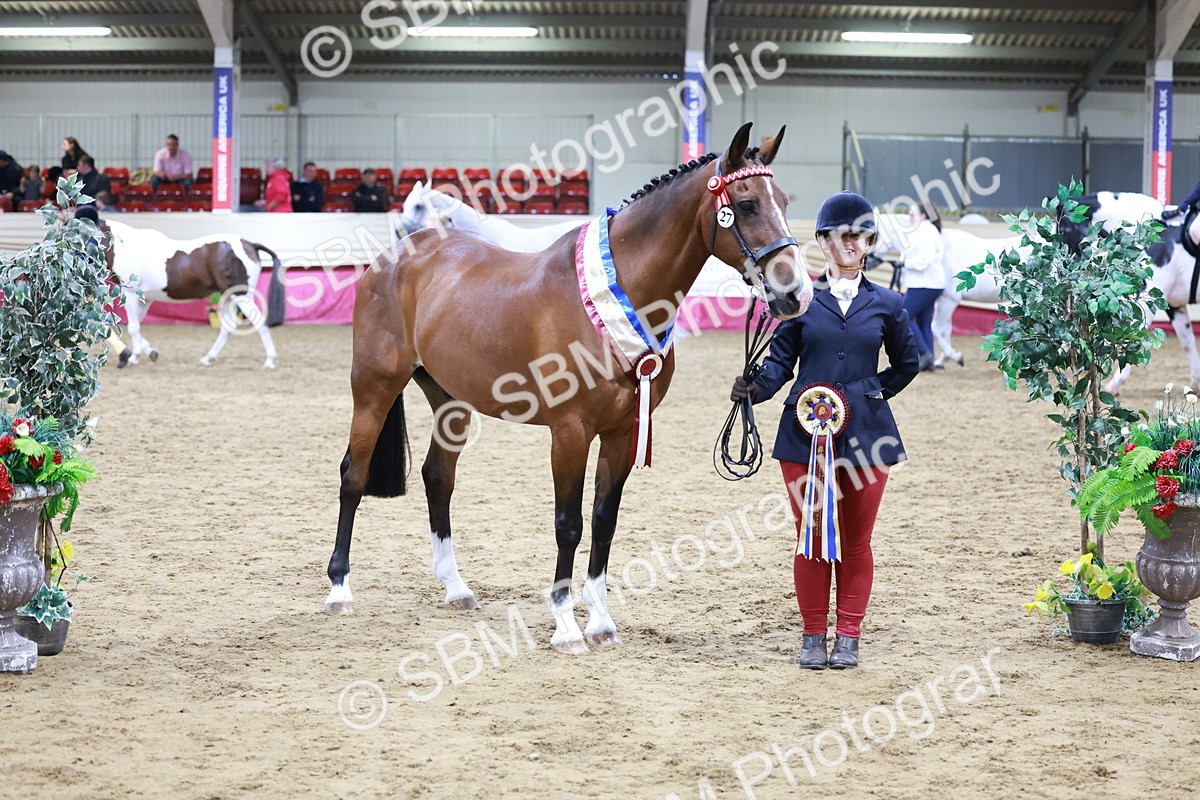 SBM_20148 - Class C - Novalty Champ