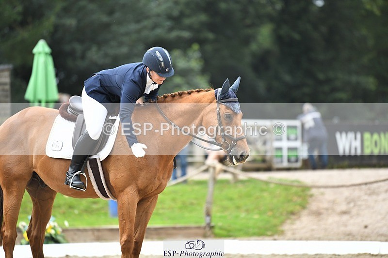 230812-123033-04135 - Cls 6 Novice Silver 12.10 to End