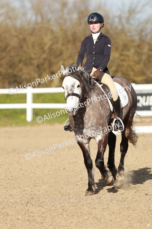 20260314-5420 - DR4 - Prelim 2