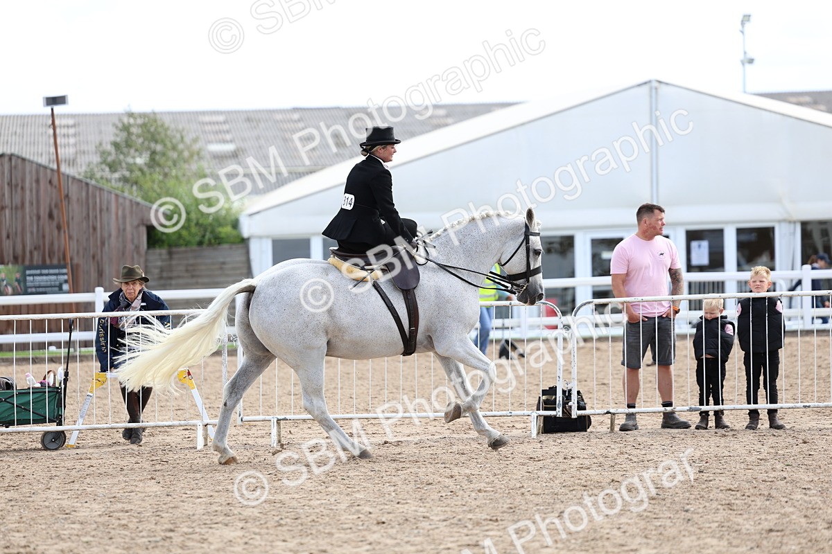 SBM_03204 - Class 22 - SSA Equitation (any age)