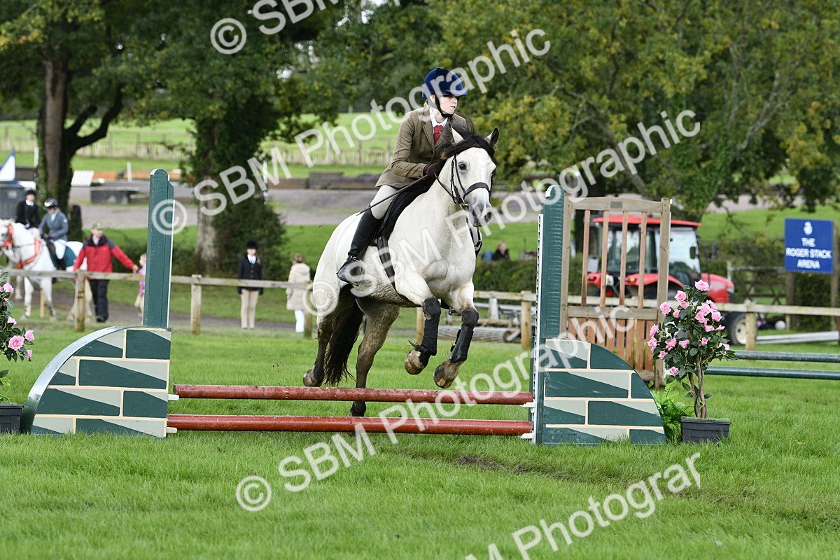 SBM_41517 - S32 - Mountain & Moorland Working Hunter Pony