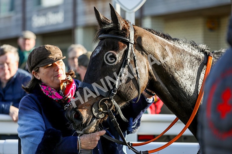 270224-Race 2-Prairie Wolf-8388 - Race 2