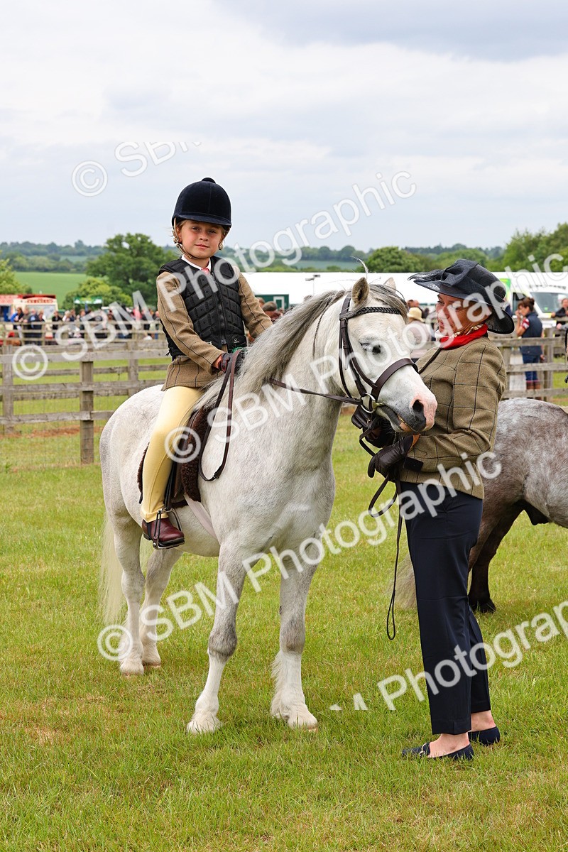 SBM_08378 - Class 42-43 - LIHS BSPS Heritage Working Sports Pony