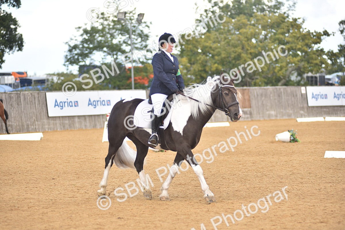 SBM_22379 - D13 - Grand Tour Championship Prelim 3