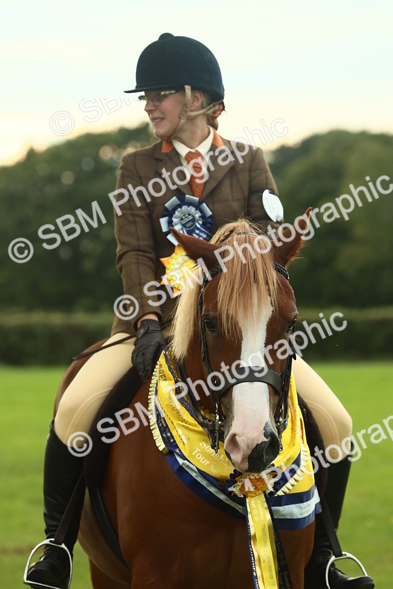 SBM_75316 - Super Supreme Championship