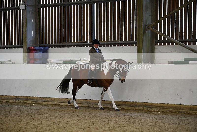 WJ5_5987 - Class 9 Ridden Veteran