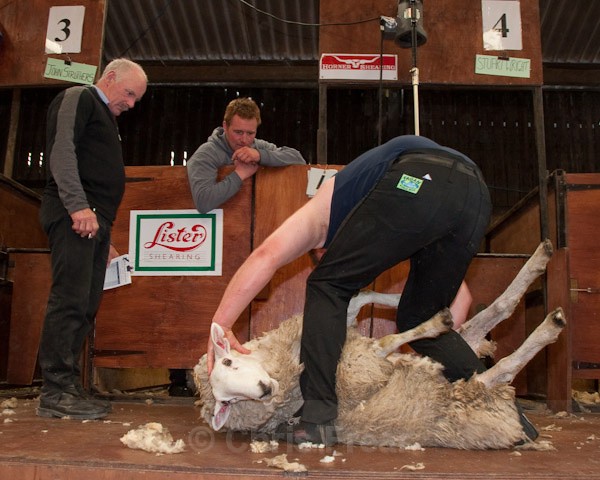 34 - Shearing Competition