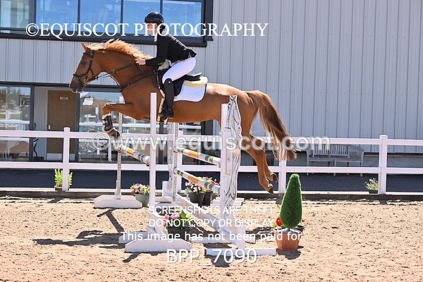 BPP_7090 - CLASS 14 FRI Nupafeeds Senior Dicovery/1m open