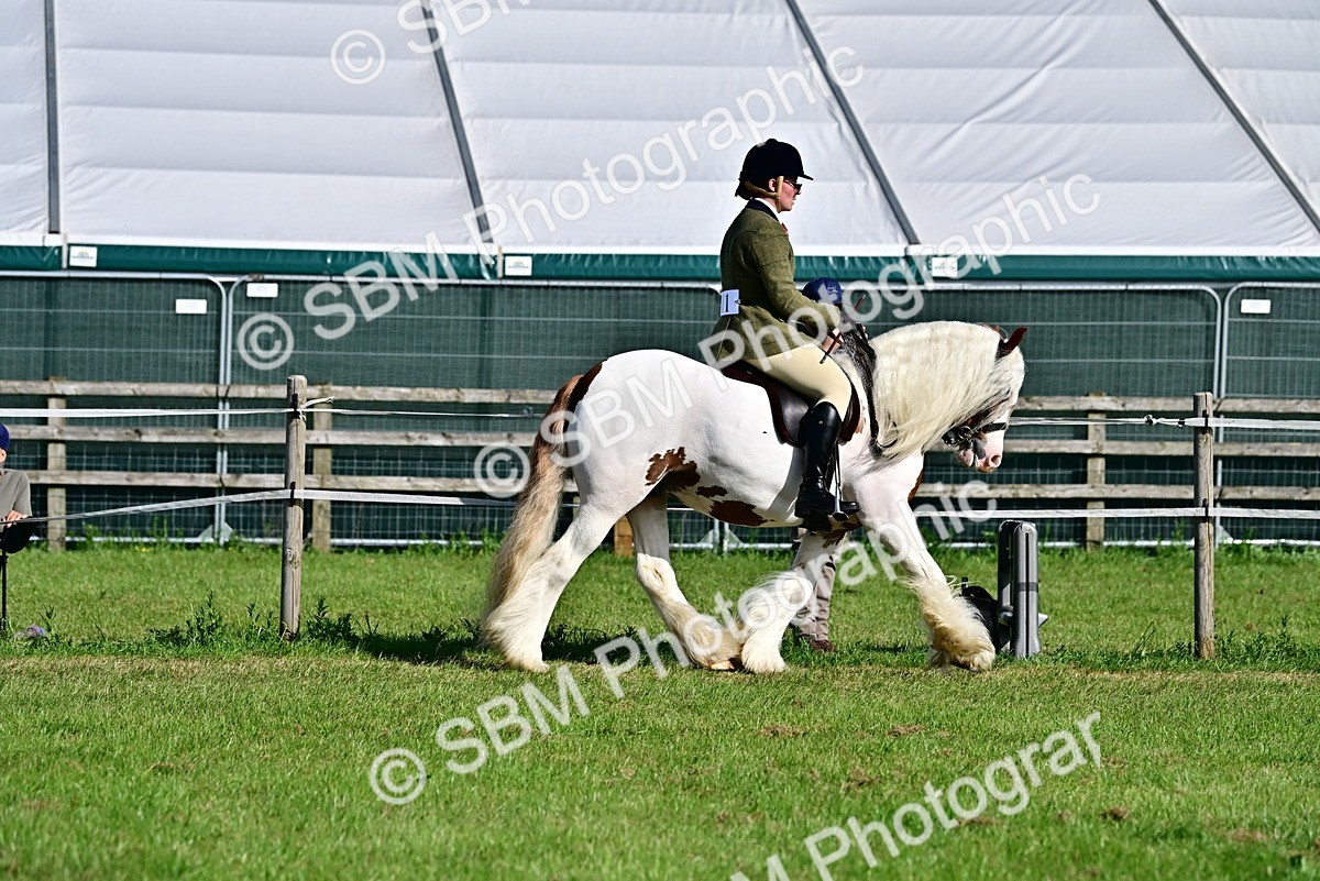 SBM_11594 - Class 93-94 - BSPA RIHS Ridden