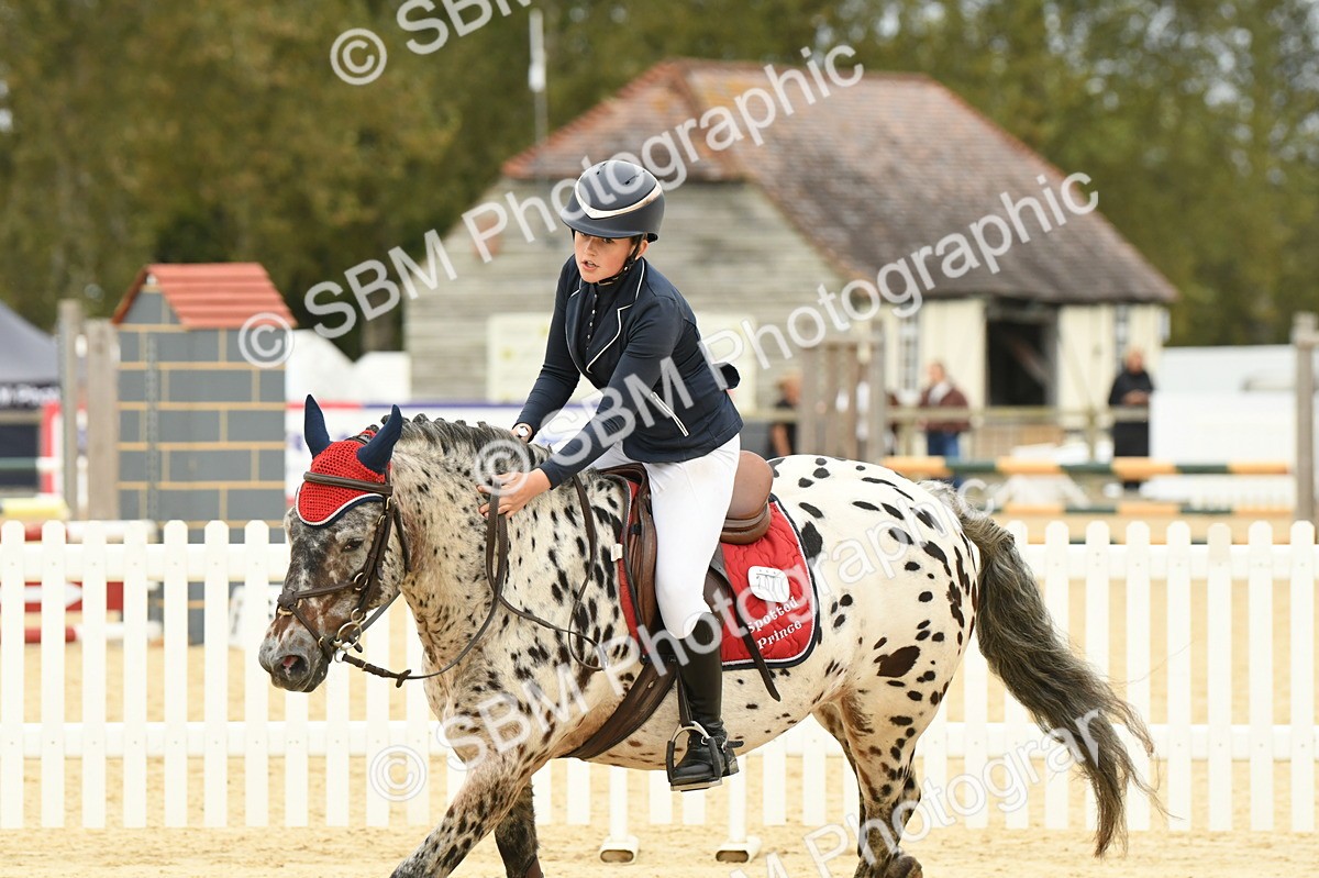 SBM_73103 - J16 - Junior Pony 75cm Championship