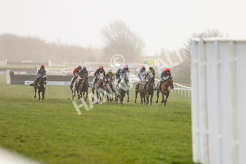 281223-Race 4-Lavida Adiva-3401 - Race 4