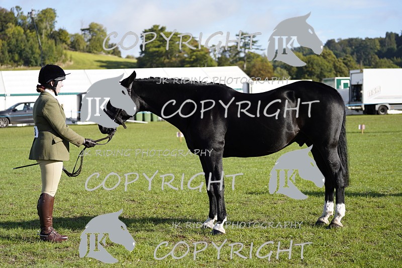 _DSC9524 - Class 8 & 17 Ridden Hunter & Ridden Hunter Pony