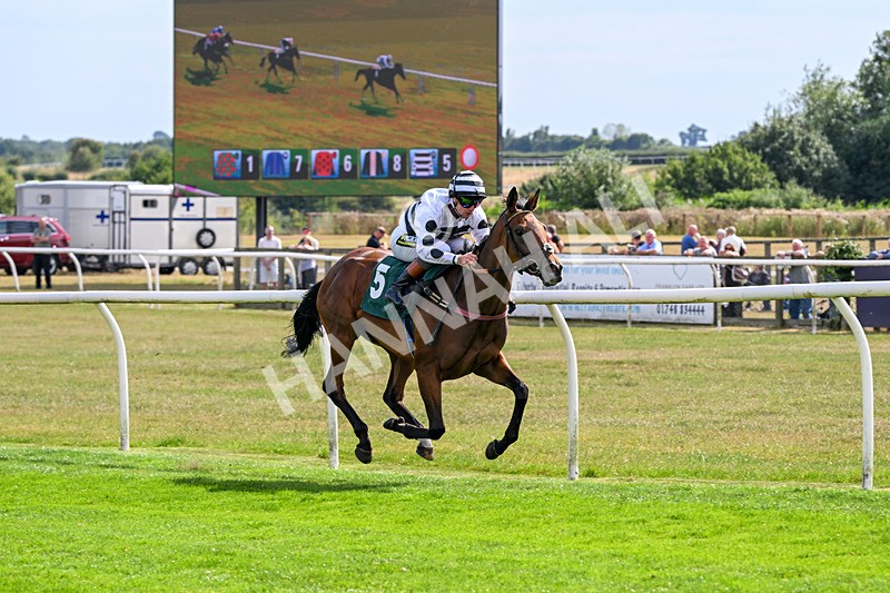 260826-Race 2-Lady Gormire-2370 - Race 2 14:45 Berber Leather Maiden Stakes