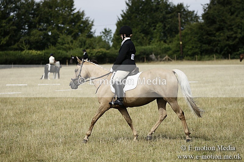 _EP59135 - Roving Camera BVRC Show 2018