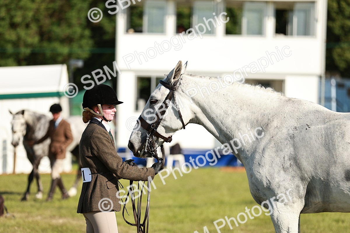SBM_20024 - Class 115-116 - LIHS BSHA Rising Star Working Hunter & Show Horse