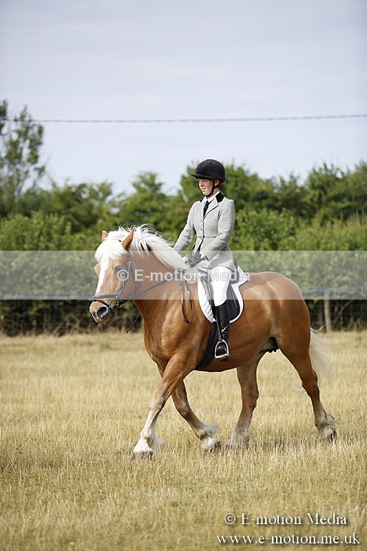 _C7A9290 - BVRC Show 2018 Ring 1