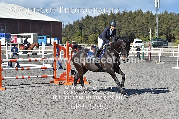 BPP_5586 - SAT CLASS 31 NEWCOMERS/1.10M