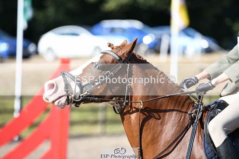 250822A-093015-19593 - NAF Round 1 9.10 to 10.20