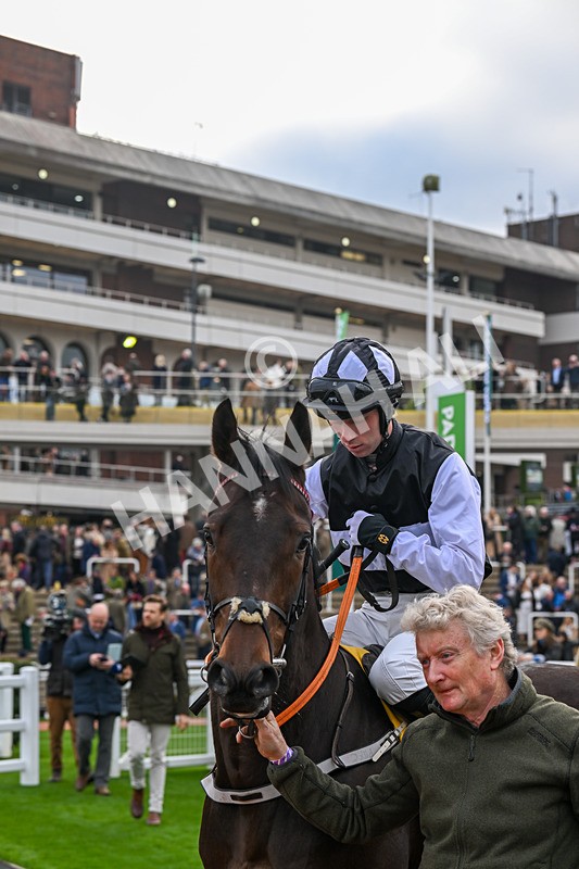 161124-Race 1-My Mate Tony-9158 - Race 1