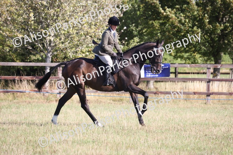 20260906-0360 - Class 14 - Ex Racehorse