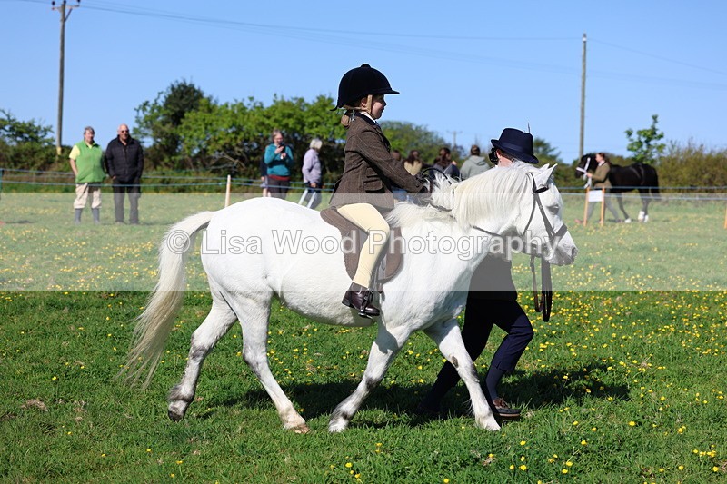 3E7A8819 - Class 2: Lead rein