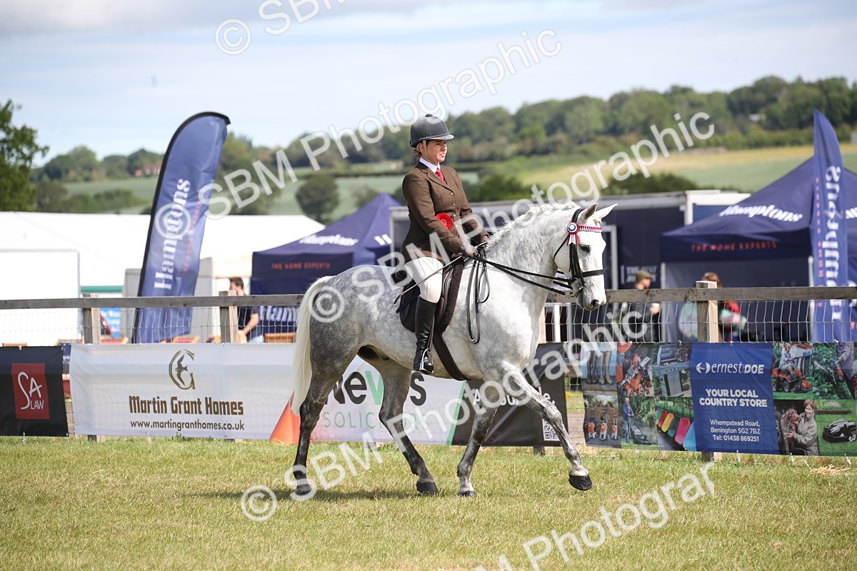 SBM_13303 - Class 95-96 - LIHS BSHA Rising Star Hack Riding Horse