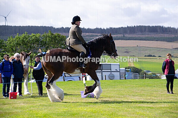 DSC_0247 - Ring 1
