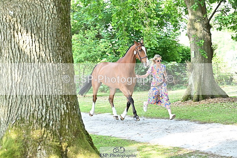 250521A-163422-01223 - C-233-Abbie.Burbidge-FEELING.FANTASTIC