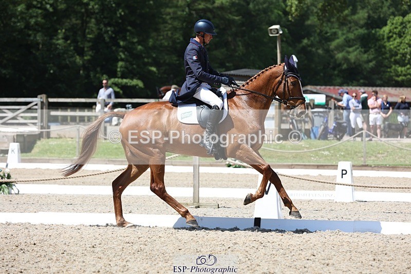 230526-114820-06118 - 156-JUST_PERFECT-Gaspard_Maksud-WEDTrotUp+DR