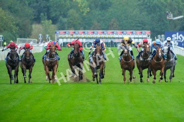 080925-Race 2-Alzahir-7763 - Race 2 3.00pm Sky Bet Super Sub Sprint Handicap