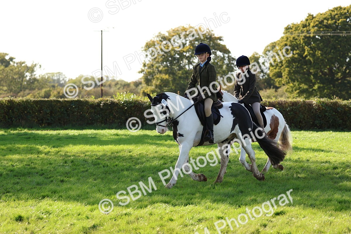 SBM_52434 - S13 - Pony Club Pony